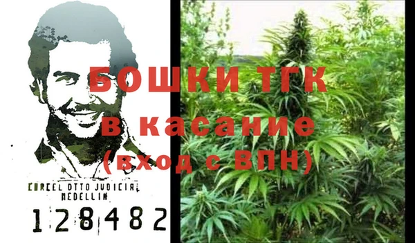 ГАЛЛЮЦИНОГЕННЫЕ ГРИБЫ Магас