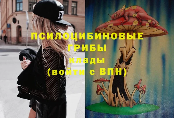 ГАЛЛЮЦИНОГЕННЫЕ ГРИБЫ Магас