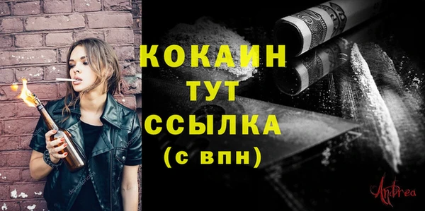 хмурый Лиски