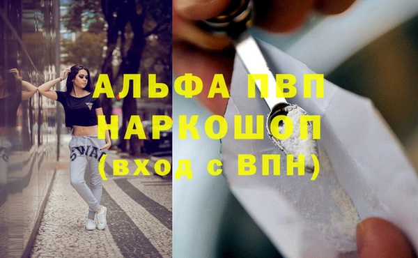 эйфоретик Медногорск