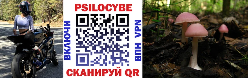 Галлюциногенные грибы ЛСД  Медвежьегорск 